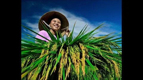Mỹ Tâm: Họa mi tóc nâu và mối quan hệ với học trò_dịch vụ chỉnh sửa video cho doanh nghiệp nhỏ