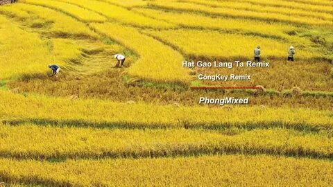Hotspot Matrix và giải pháp ứng phó với vấn đề thực tiễn_Ma Trận Hotspot Việt Nam